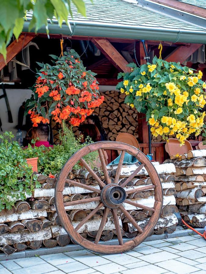 Sepsi Relax Hotell Sfântu-Gheorghe Eksteriør bilde
