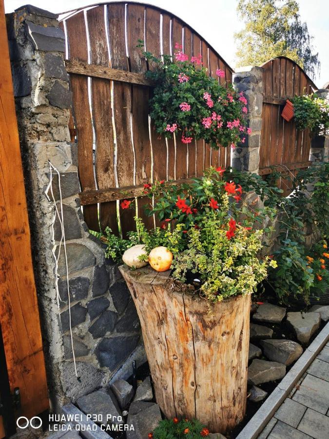 Sepsi Relax Hotell Sfântu-Gheorghe Eksteriør bilde